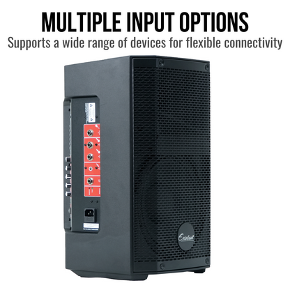 Multiple Input Options