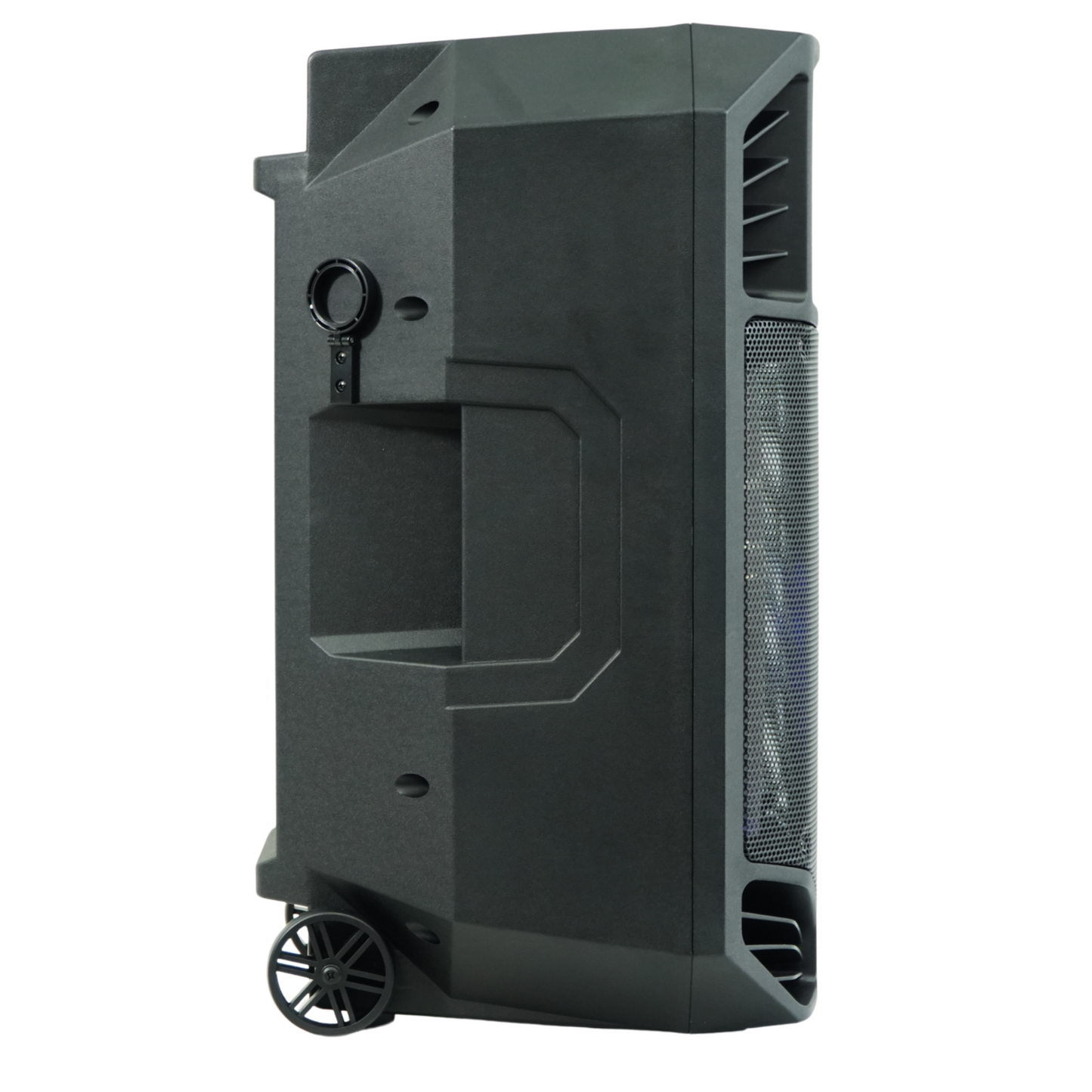1600W 15-inch Bluetooth Portable PA System With Wireless Mic