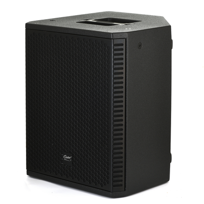 exoton 800W 12-inch Active Bluetooth Coaxial Monitor Speaker