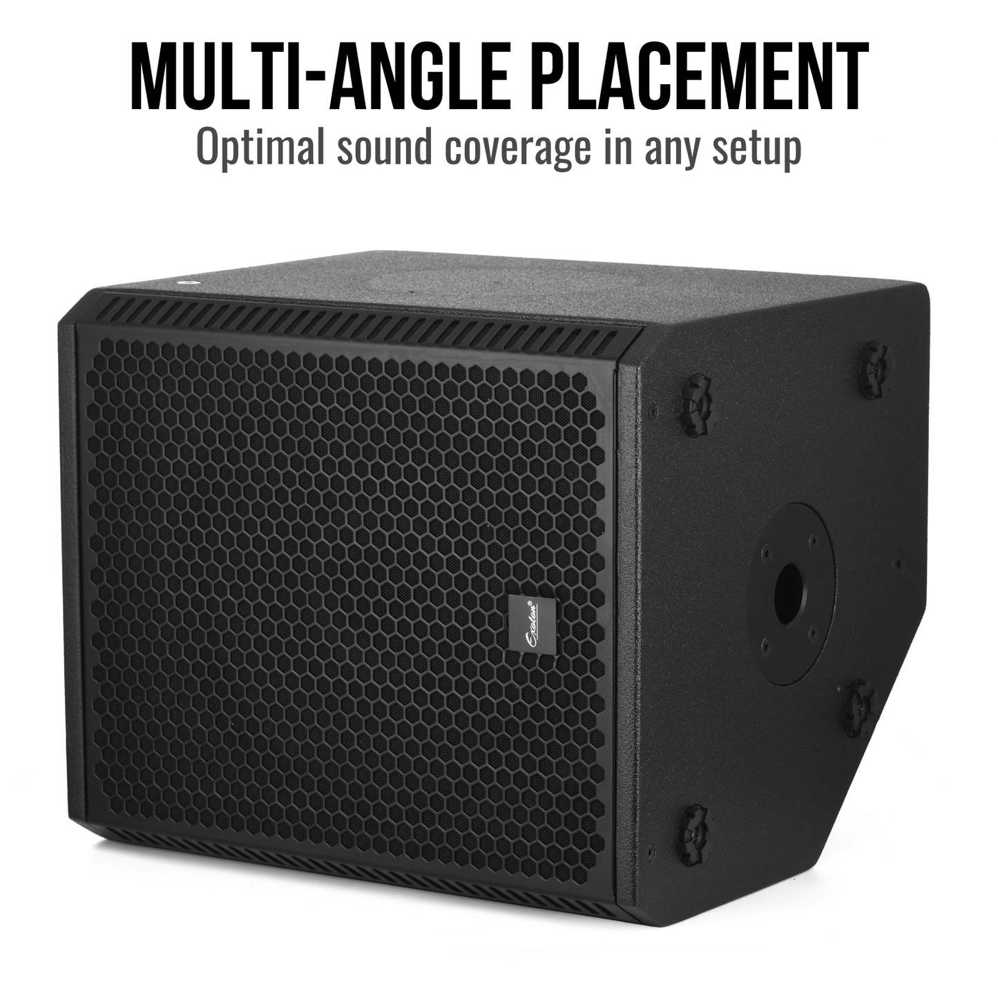 800W 12-inch Active Bluetooth Coaxial Monitor Speaker