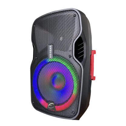 1200W 12-inch Large Bluetooth PA Speakers System