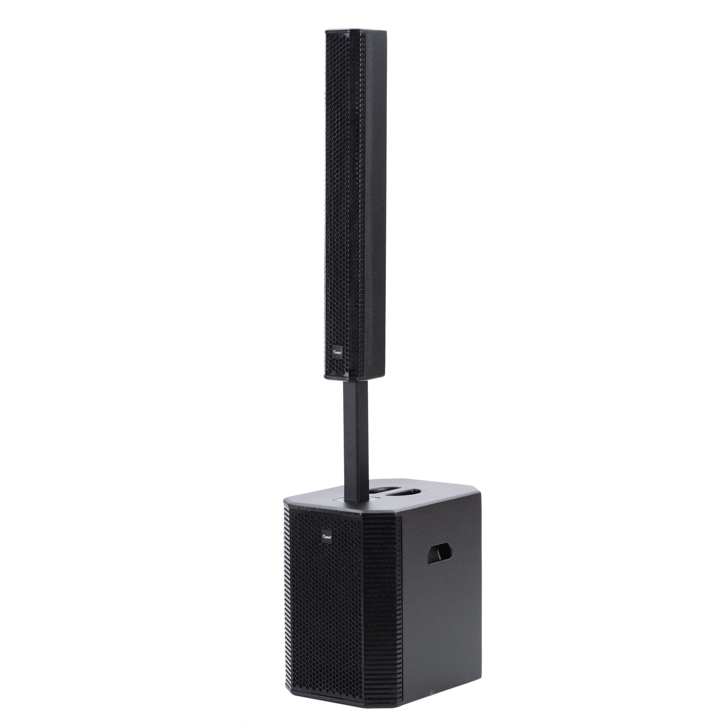 2000W 12-inch Powered Column PA System Portable Speaker